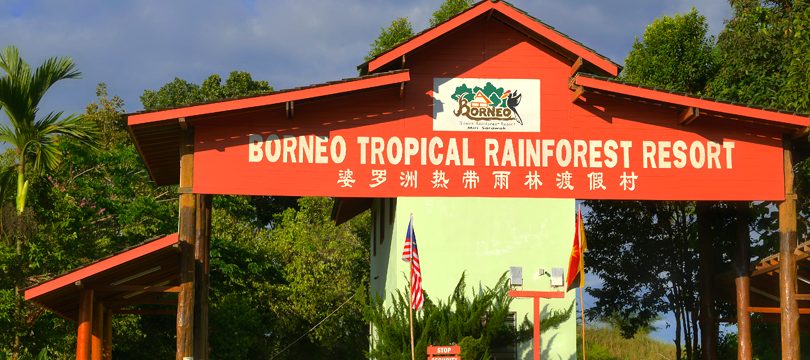 borneo tropical rainforest resort